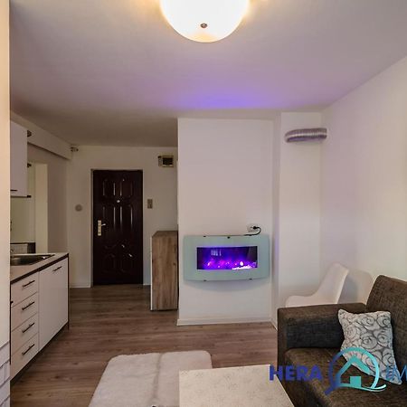 アラドAlfa Apartament Living Si Dormitorアパートメント エクステリア 写真